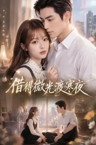 《借得微光渡寒夜（211集）（夸克网盘）》短剧封面