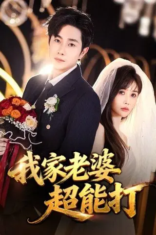 《我家老婆超能打（60集）王新颖&杨皓竣（百度网盘）》短剧封面