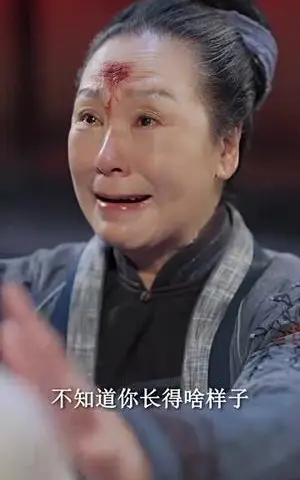 《问道之凤凰殿主（75集）（夸克网盘）》短剧封面