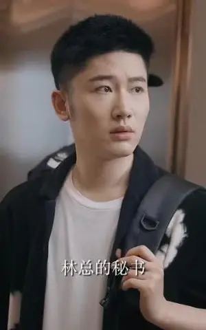 《我的秘书为什么这样（94集）（夸克网盘）》短剧封面