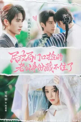 《民政局门口捡的老公身份藏不住了（79集）王钧浩＆吴易霏（1080P）（夸克网盘）》短剧封面