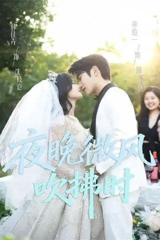 《夜晚微风吹拂时（61集）李铂一＆韩佳卉》短剧封面