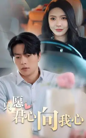 《只愿君心向我心（31集）张磊（夸克网盘）》短剧封面