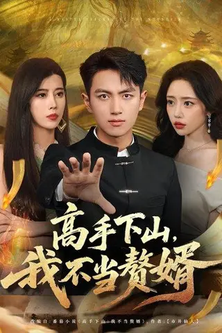 《高手下山我不当赘婿》短剧封面