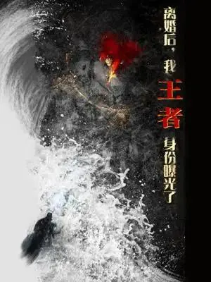 《离婚后，我王者身份曝光了（80集）廖芯&杨泽琳（夸克网盘）》短剧封面