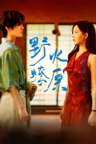 《野火燎原（72集）张翅＆侯呈玥（夸克网盘）》短剧封面