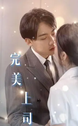 《擦边短剧：完美上司（30集）（夸克网盘）》短剧封面