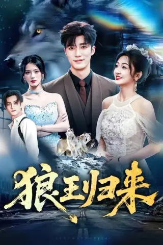 《狼王归来（51集）王名扬＆卞菁（百度网盘）》短剧封面