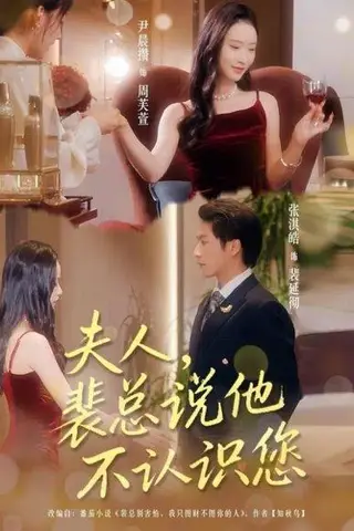 《夫人裴总说他不认识您（75集）张淇皓&尹晨攒》短剧封面