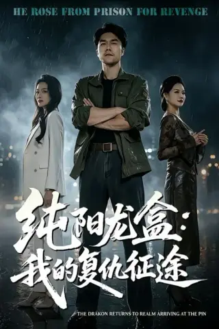《纯阳龙盒：我的复仇征途（80集）师彬＆吕洁（夸克网盘）》短剧封面