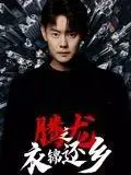 《腾龙之衣锦还乡》短剧封面