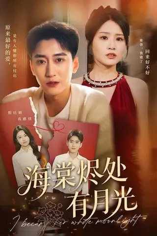 《海棠烬处有月光（70集）张佳艺&常子轩（百度网盘）》短剧封面