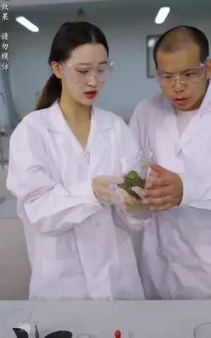 《穿越从后宫开始纵横天下(100集)》短剧封面