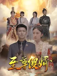 《至尊傻婿》短剧封面
