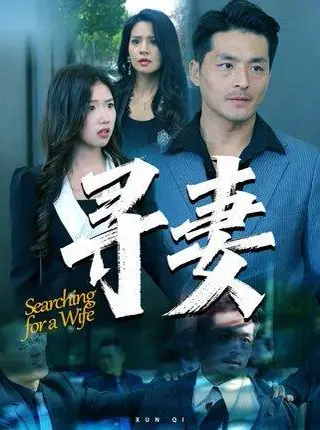 《寻妻（70集）》短剧封面