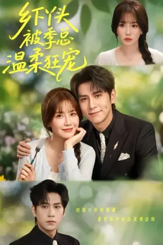 《乡下丫头被季总温柔狂宠（78集）张添景＆苏语桐（百度网盘）》短剧封面