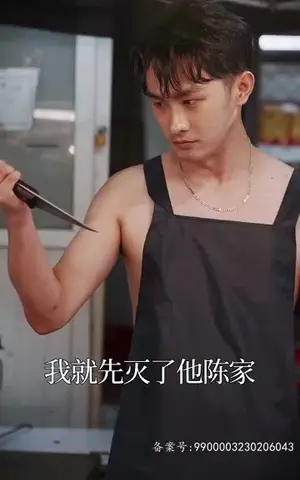 《化渊（81集）》短剧封面