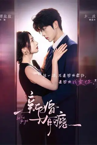 《新婚有瘾（83集）卡戎＆谭盐盐（百度网盘）》短剧封面