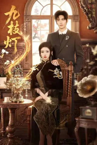 《九枝灯（62集）王奕然＆何蓝逗（1080P）（夸克网盘）》短剧封面