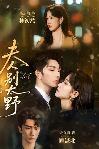 《夫人别太野（70集）金玄雨＆杨云绚（百度网盘）》短剧封面