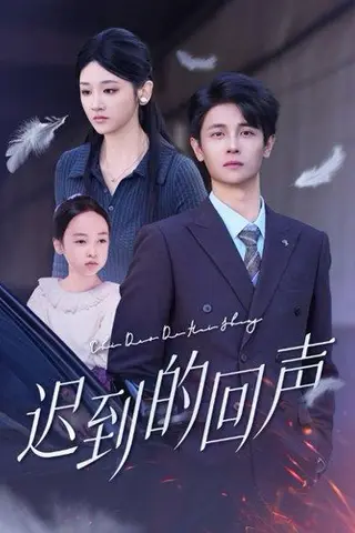 《迟到的回声（75集）》短剧封面