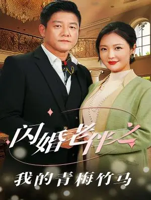 《闪婚老伴之我的青梅竹马（68集）滕林＆李明（夸克网盘）》短剧封面