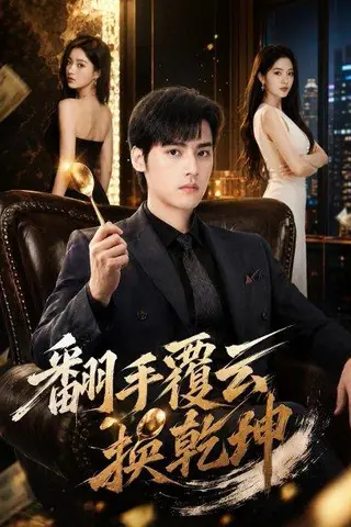 《翻手覆云换乾坤（80集）储子竣&孙千予（百度网盘）》短剧封面
