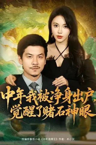 《中年我被净身出户，觉醒了赌石神眼（80集）柯珂＆王辉》短剧封面