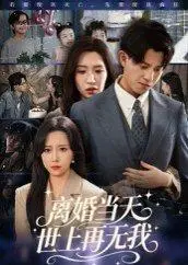 《离婚当天世上再无我》短剧封面