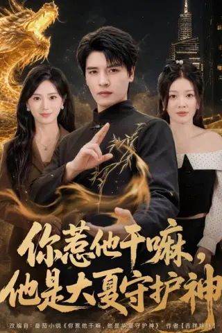 《你惹他干嘛，他是大夏守护神（78集）李彬航＆林初（百度网盘）》短剧封面