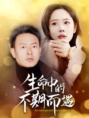 《生命中的不期而遇（35集）（夸克网盘）》短剧封面
