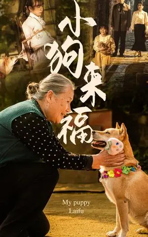 《小狗来福（30集）（夸克网盘）》短剧封面