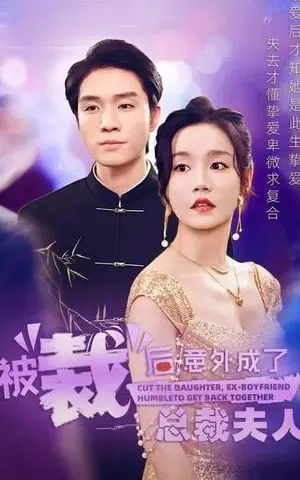《被裁后，意外成了总裁夫人（70集）汤圆（夸克网盘）》短剧封面