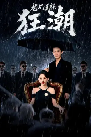 《龙凤呈祥：狂潮（55集）郑天龙＆汪心宇（百度网盘）》短剧封面