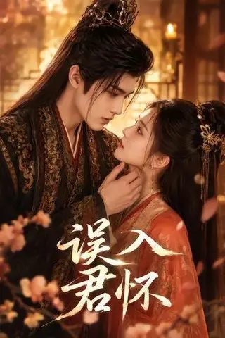《误入君怀（80集）（百度网盘）》短剧封面