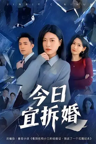 《今日宜拆婚（60集）诸玲颖&刘月涛（百度网盘）》短剧封面