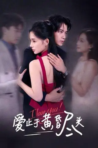 《爱止于黄昏尽头》短剧封面