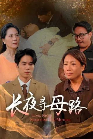 《长夜寻母路（61集）岳樾&许敏》短剧封面
