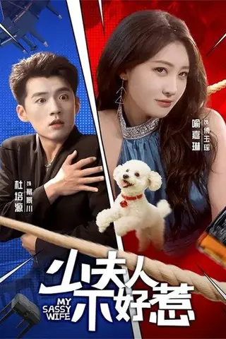 《少夫人不好惹（61集）》短剧封面