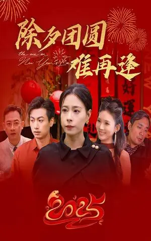 《除夕团圆难再逢（54集）（夸克网盘）》短剧封面