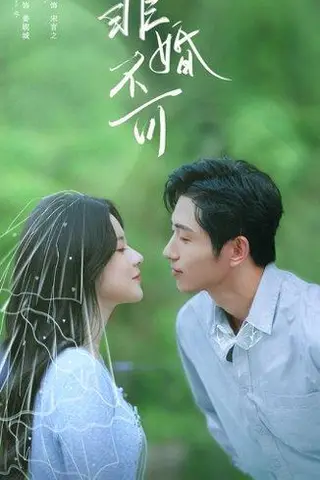 《非婚不可（65集）》短剧封面