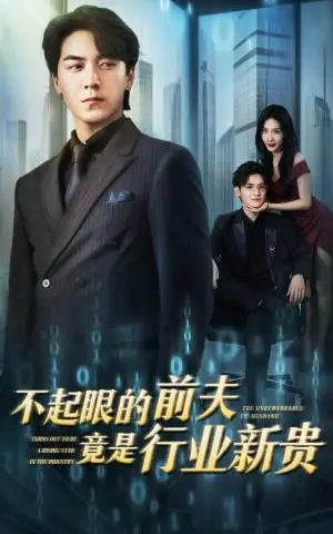 《不起眼的前夫竟是行业新贵（60集）李槿&牛一凡（夸克网盘）》短剧封面