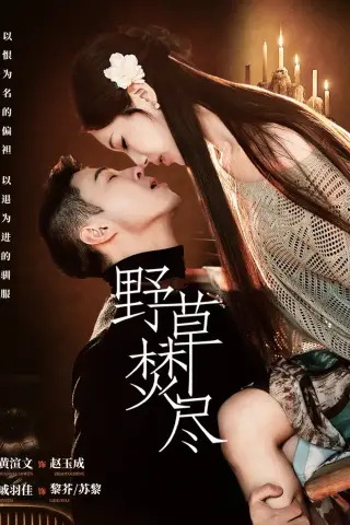 《野草焚尽（74集）黄渲文＆戚羽佳（夸克网盘）》短剧封面