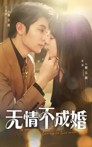 《无情不成婚（70集）王子林&盛晨（夸克网盘）》短剧封面