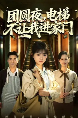 《团圆夜，电梯不让我进家门（52集）林鹿＆周舒然（夸克网盘）》短剧封面