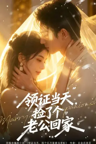 《领证当天，捡了个老公回家（80集）（夸克网盘）》短剧封面