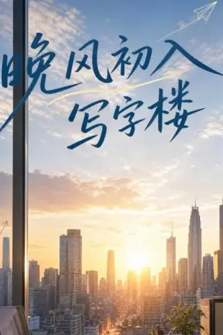《晚风初入写字楼第一部（20集）（百度网盘）》短剧封面