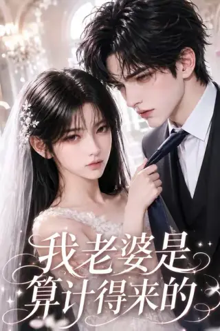 《我老婆是算计得来的（81集）（百度网盘）》短剧封面