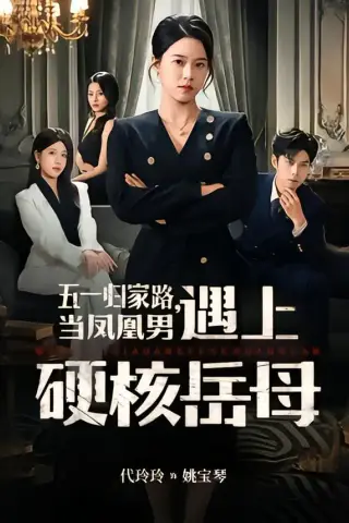 《五一归家路，当凤凰男遇上硬核岳母（60集）代玲玲＆秦子墨（夸克网盘）》短剧封面