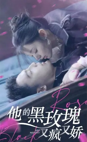 《他的黑玫瑰又疯又娇（81集）》短剧封面